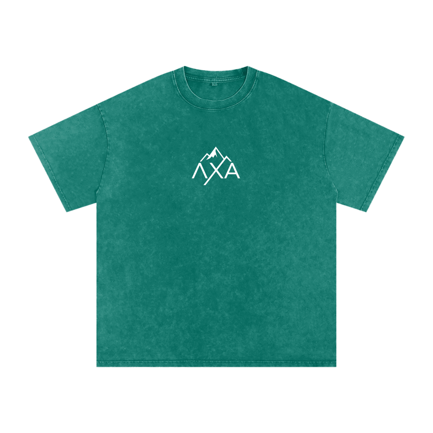 Alphalanche Snow Washed Oversized Cotton T-Shirt
