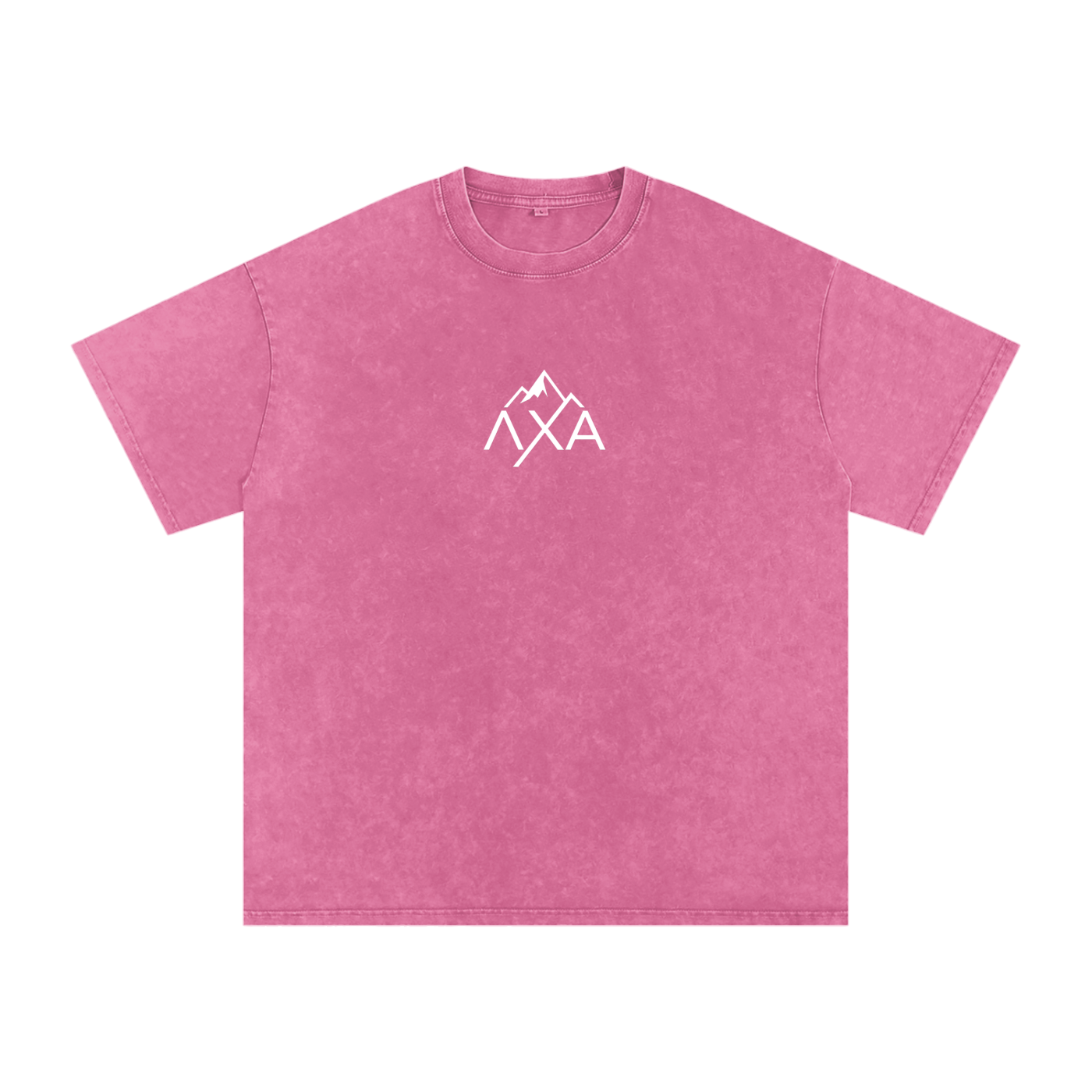 Alphalanche Snow Washed Oversized Cotton T-Shirt