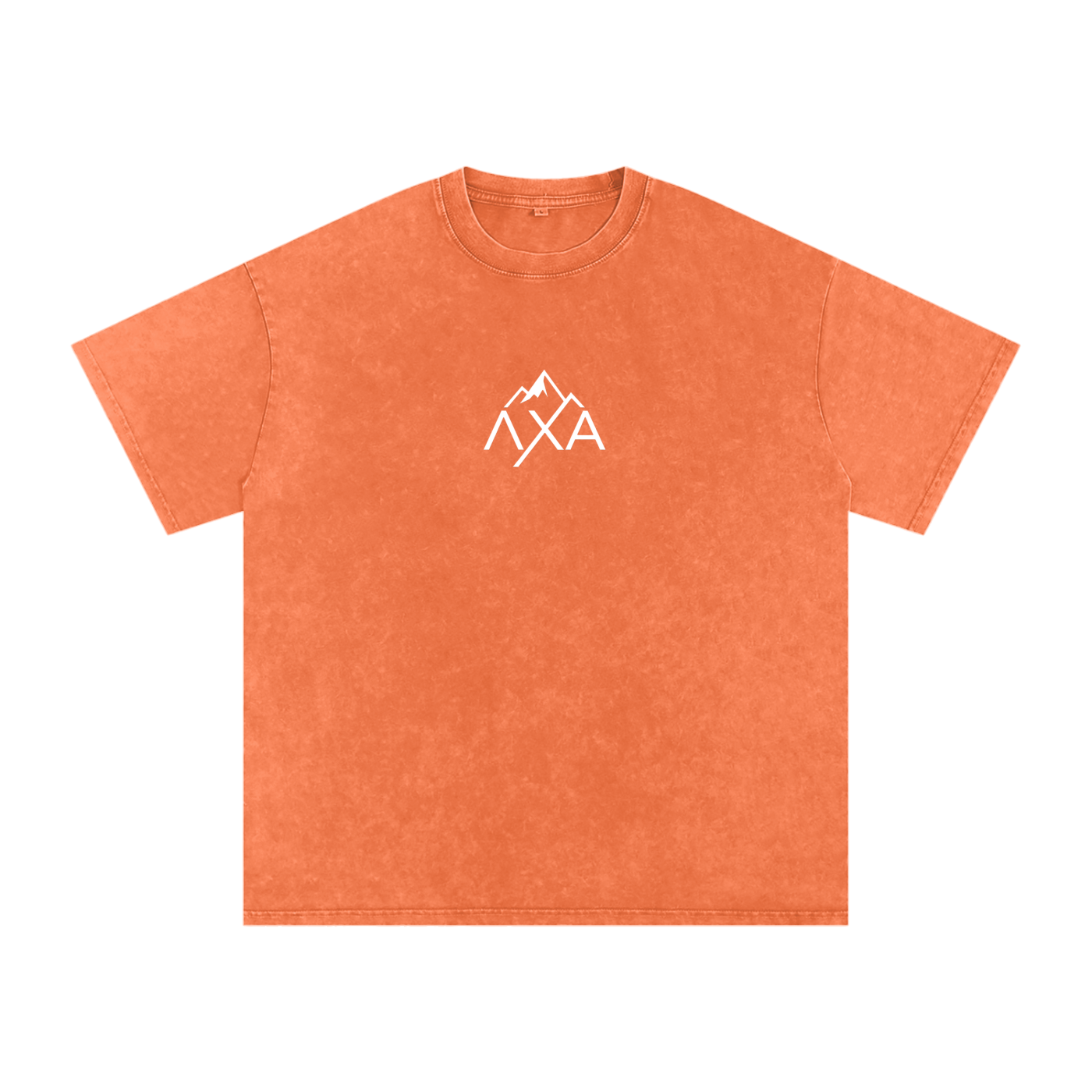 Alphalanche Snow Washed Oversized Cotton T-Shirt