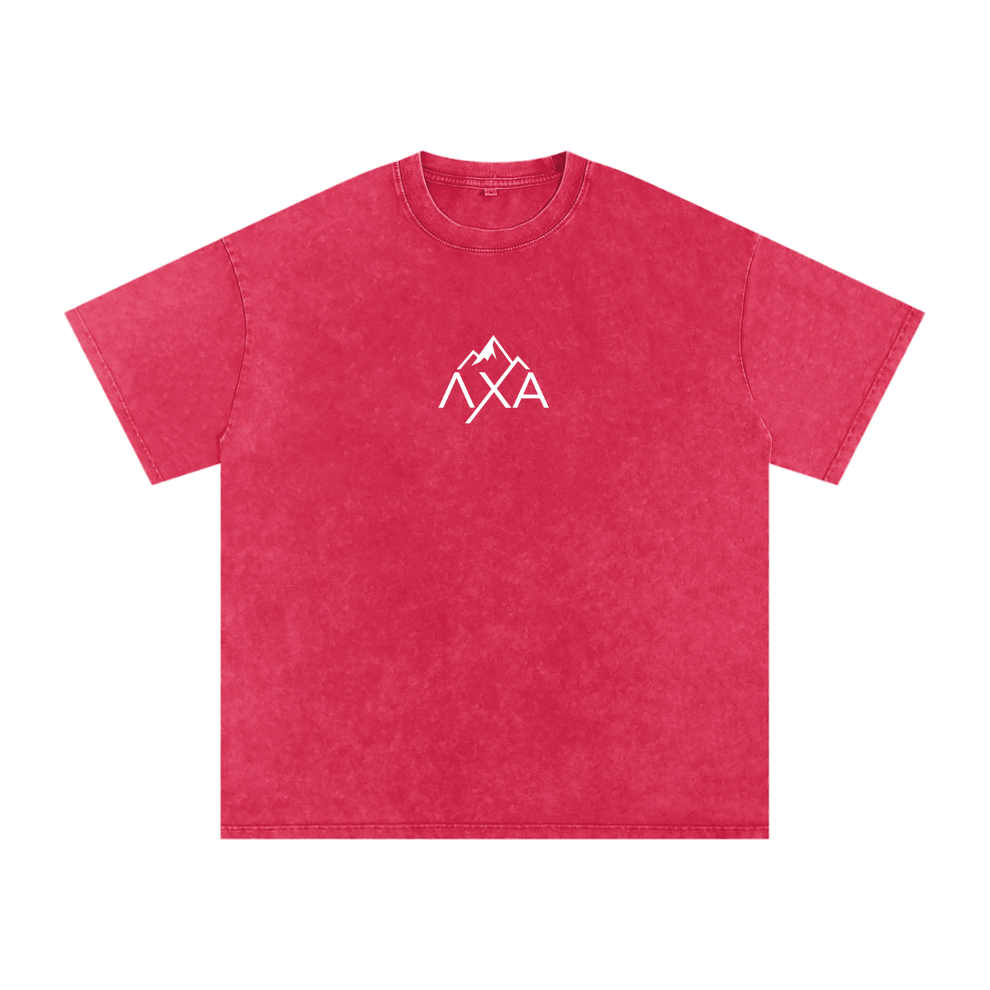Alphalanche Snow Washed Oversized Cotton T-Shirt