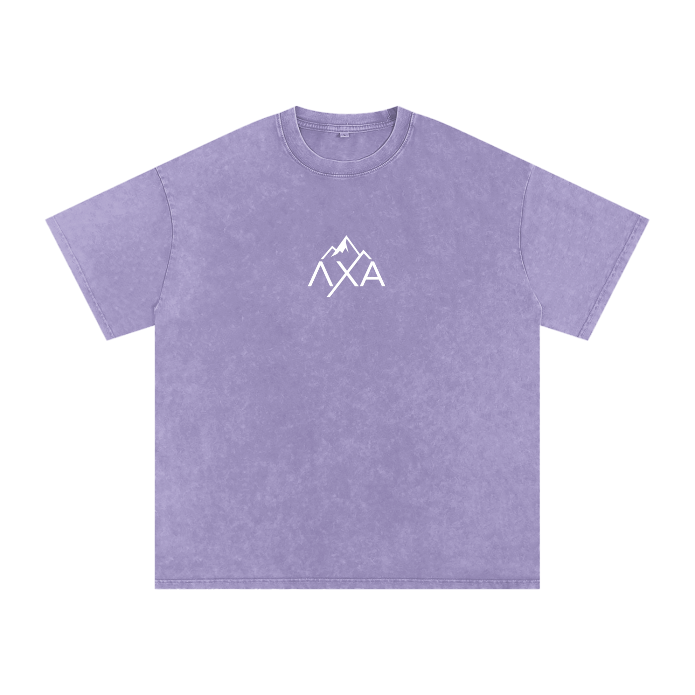 Alphalanche Snow Washed Oversized Cotton T-Shirt