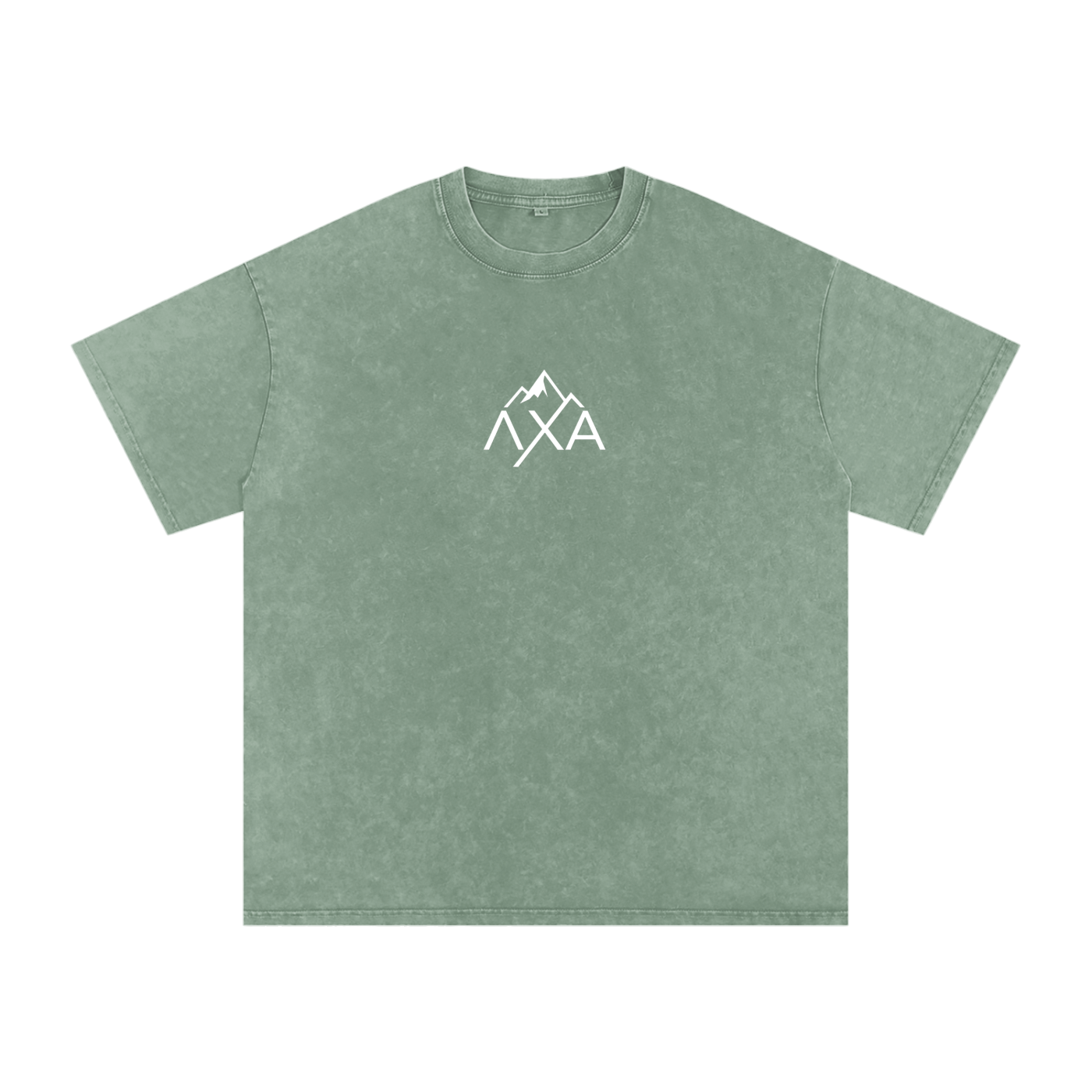 Alphalanche Snow Washed Oversized Cotton T-Shirt