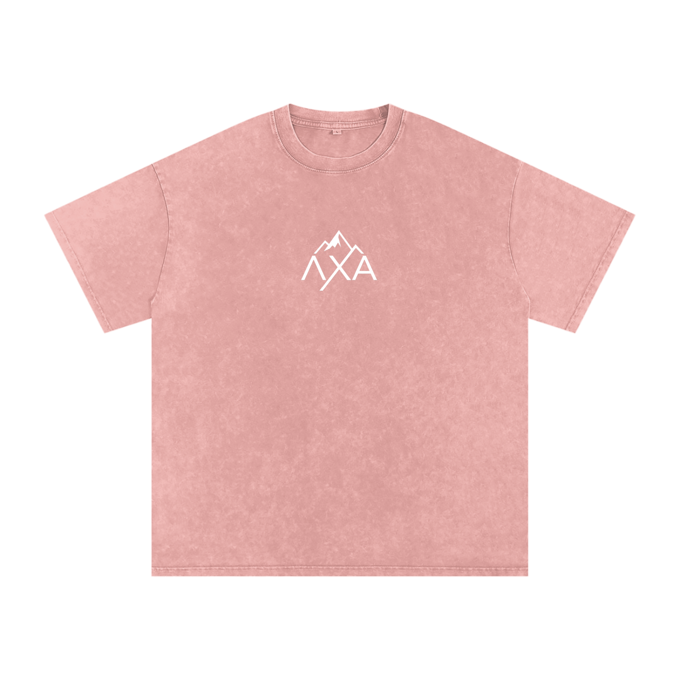Alphalanche Snow Washed Oversized Cotton T-Shirt