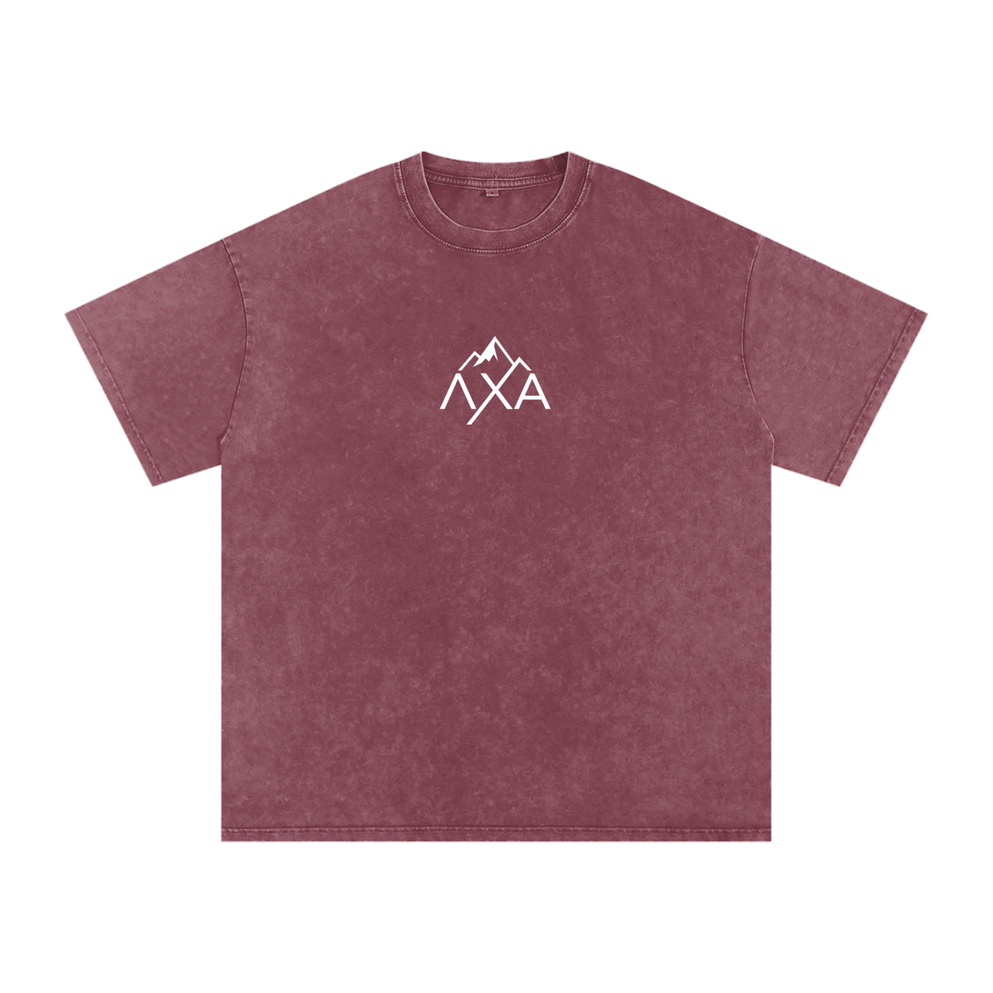 Alphalanche Snow Washed Oversized Cotton T-Shirt