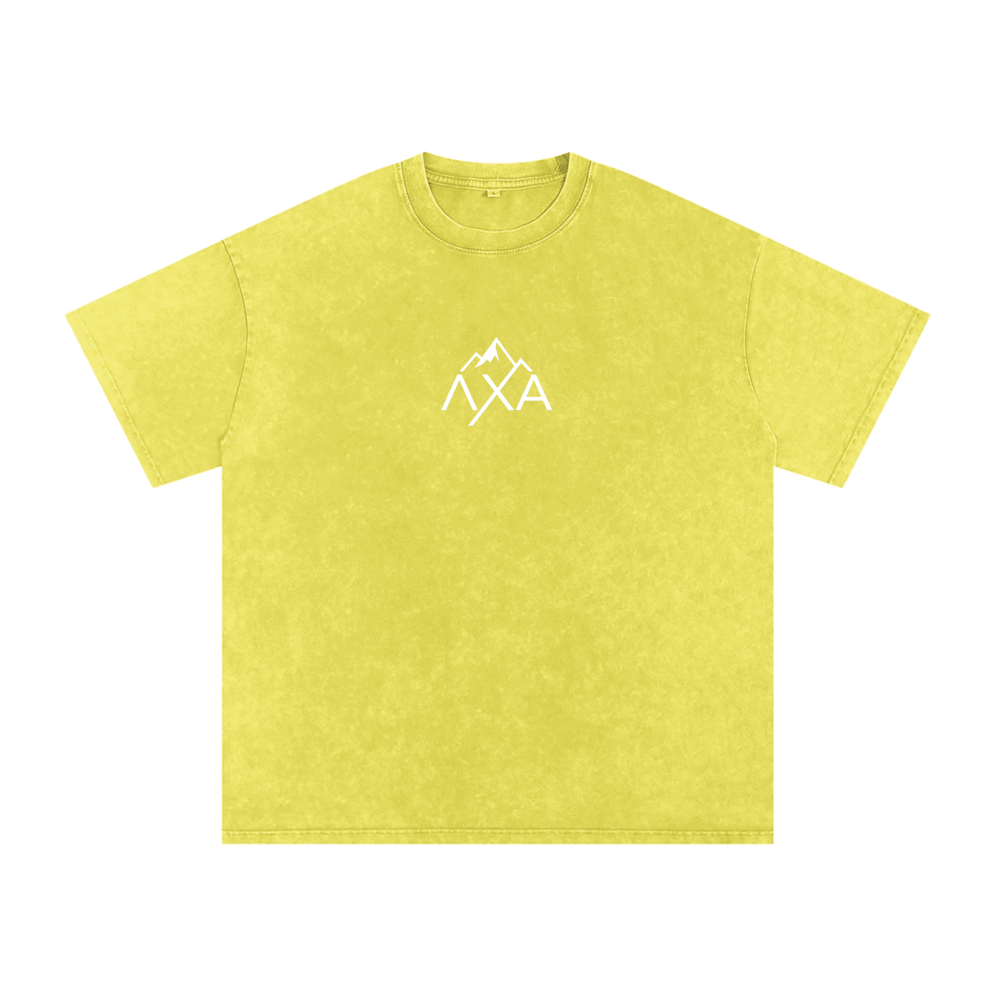 Alphalanche Snow Washed Oversized Cotton T-Shirt
